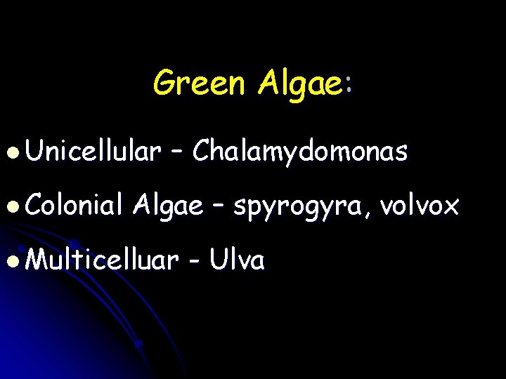 Green Algae: l Unicellular l Colonial – Chalamydomonas Algae – spyrogyra, volvox l Multicelluar