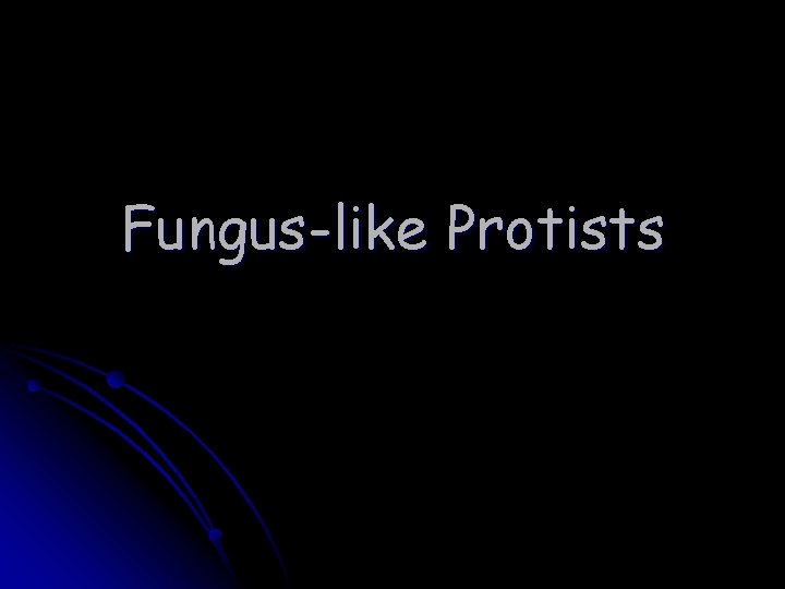 Fungus-like Protists 