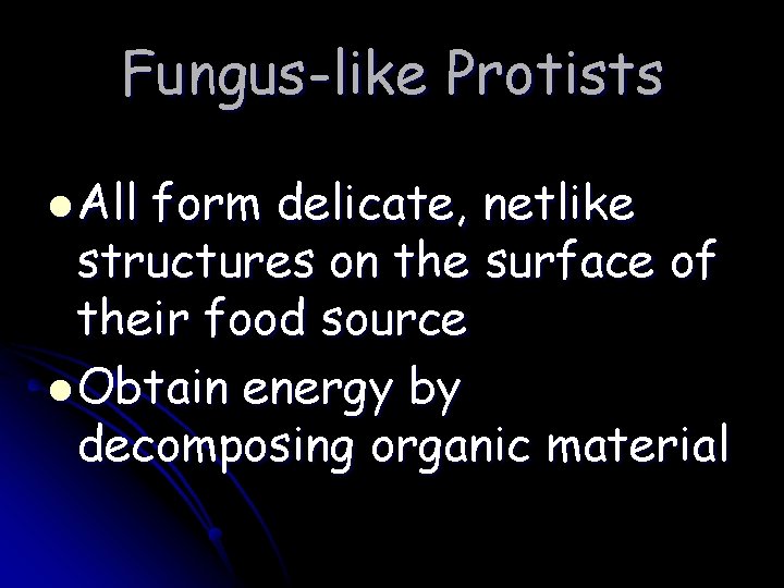 Fungus-like Protists l All form delicate, netlike structures on the surface of their food