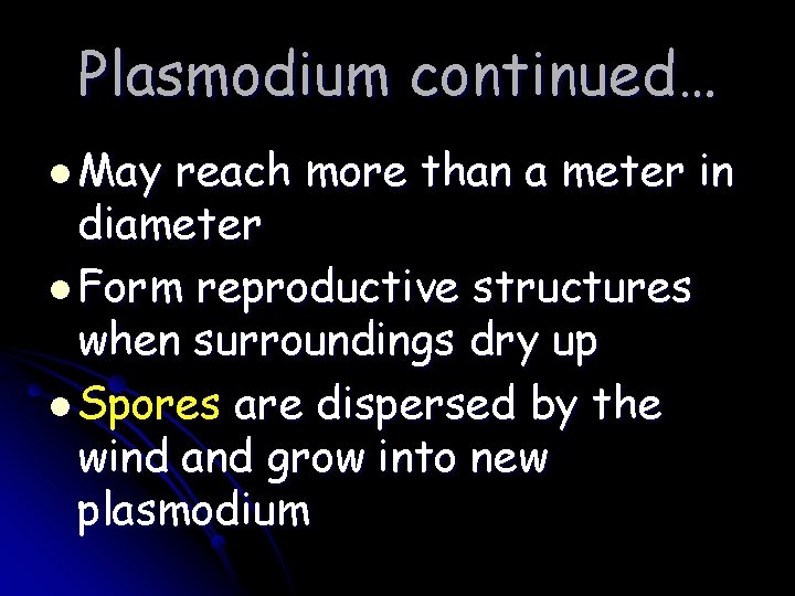 Plasmodium continued… l May reach more than a meter in diameter l Form reproductive