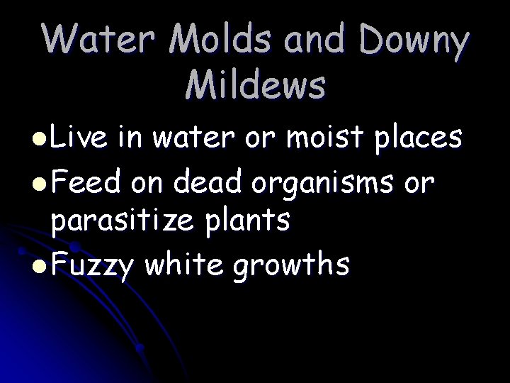 Water Molds and Downy Mildews l Live in water or moist places l Feed