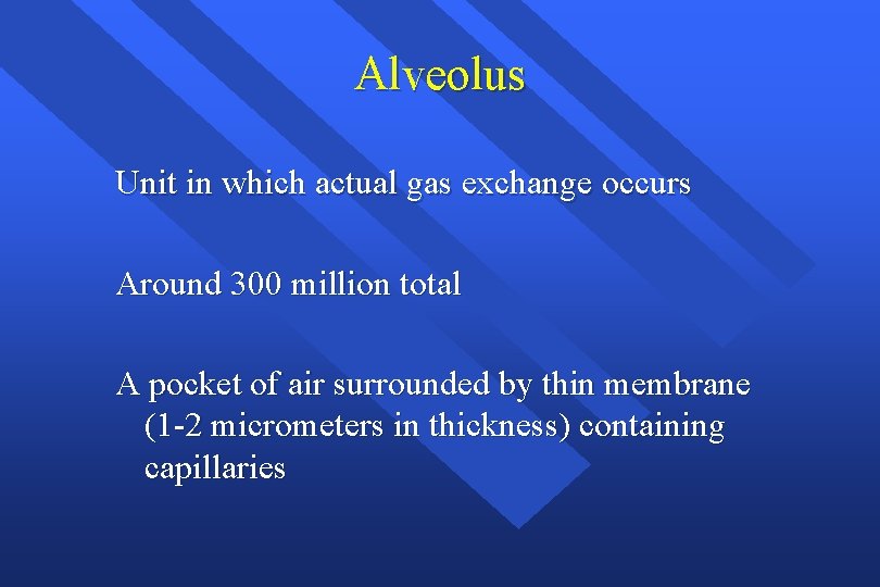 Alveolus Unit in which actual gas exchange occurs Around 300 million total A pocket