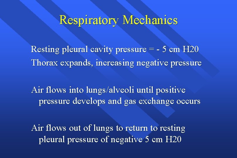 Respiratory Mechanics Resting pleural cavity pressure = - 5 cm H 20 Thorax expands,