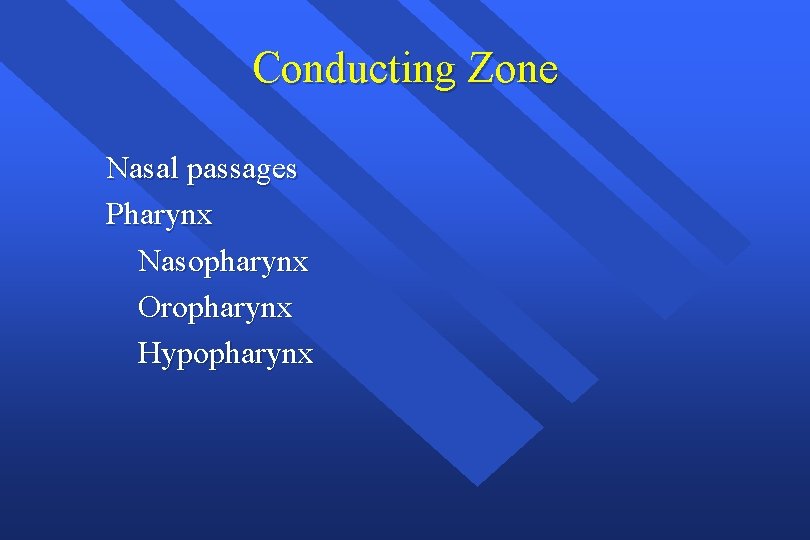 Conducting Zone Nasal passages Pharynx Nasopharynx Oropharynx Hypopharynx 