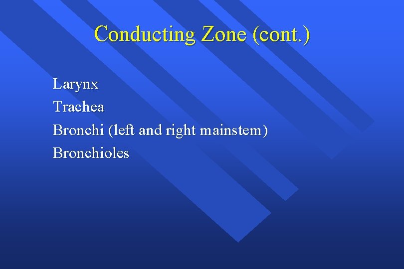 Conducting Zone (cont. ) Larynx Trachea Bronchi (left and right mainstem) Bronchioles 