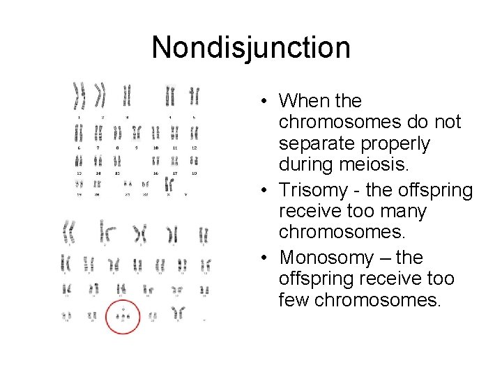 Nondisjunction • When the chromosomes do not separate properly during meiosis. • Trisomy -