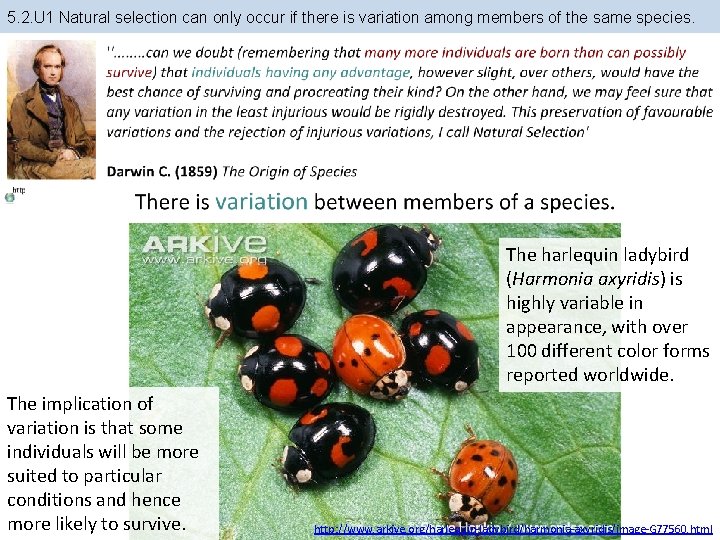 5. 2. U 1 Natural selection can only occur if there is variation among