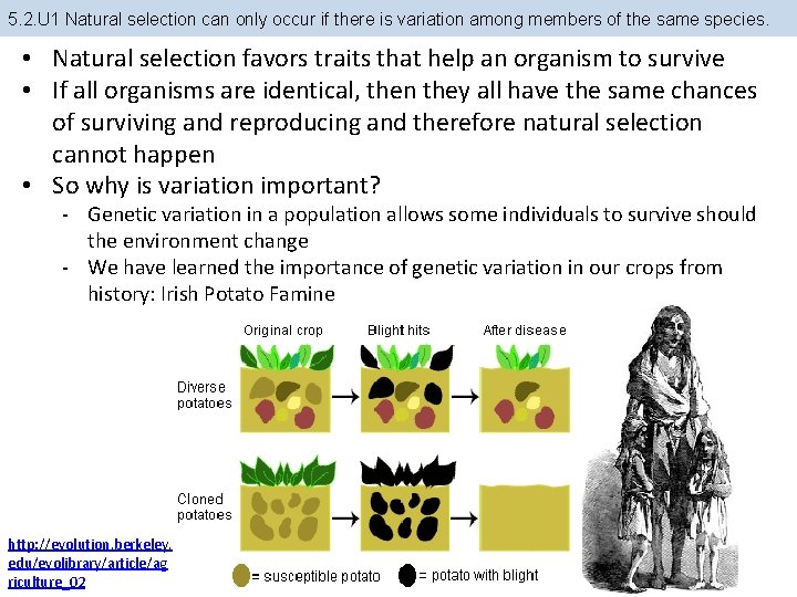 5. 2. U 1 Natural selection can only occur if there is variation among