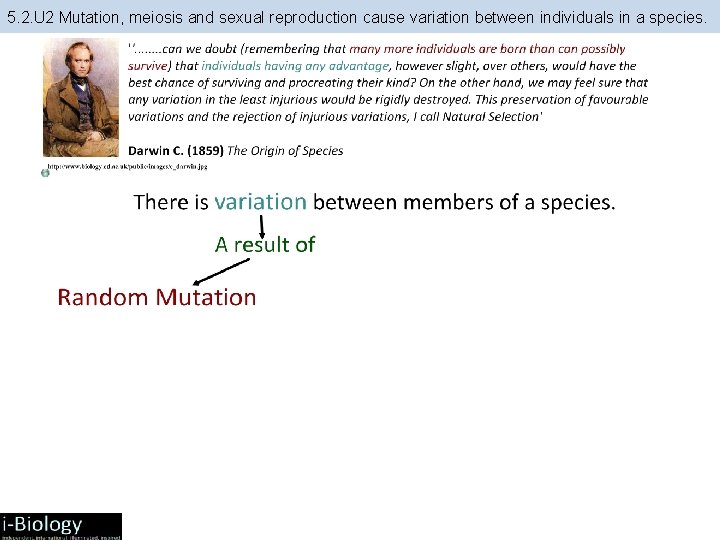 5. 2. U 2 Mutation, meiosis and sexual reproduction cause variation between individuals in