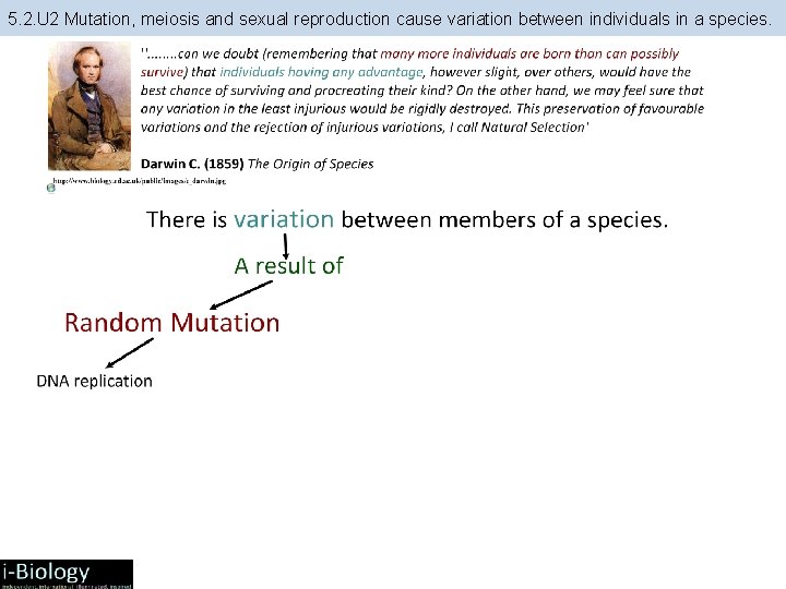 5. 2. U 2 Mutation, meiosis and sexual reproduction cause variation between individuals in