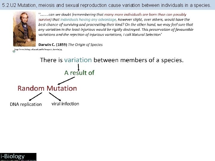 5. 2. U 2 Mutation, meiosis and sexual reproduction cause variation between individuals in