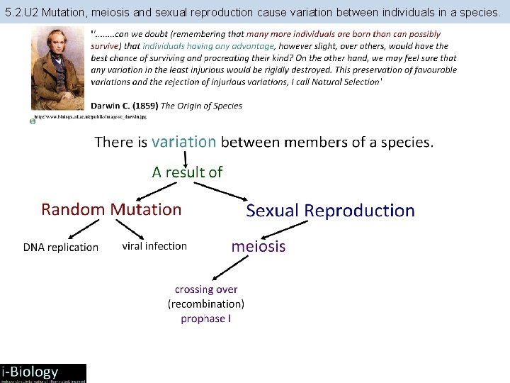 5. 2. U 2 Mutation, meiosis and sexual reproduction cause variation between individuals in