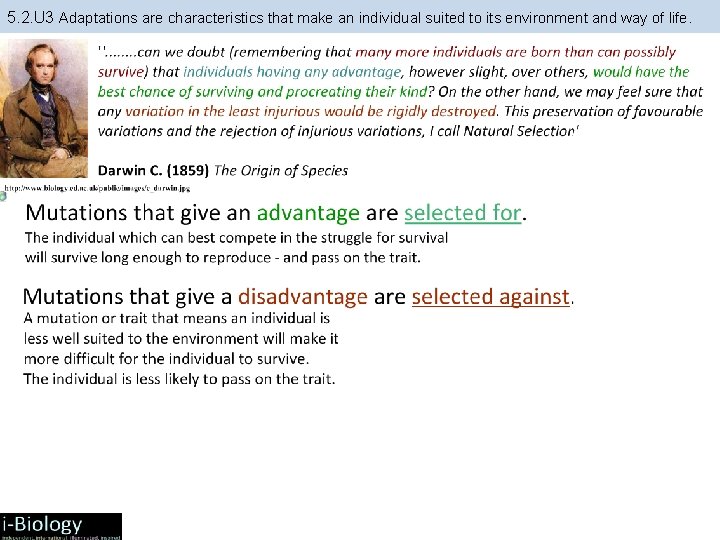 5. 2. U 3 Adaptations are characteristics that make an individual suited to its