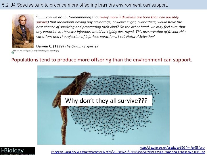 5. 2. U 4 Species tend to produce more offspring than the environment can