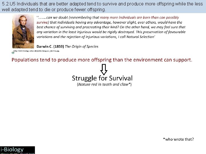 5. 2. U 5 Individuals that are better adapted tend to survive and produce