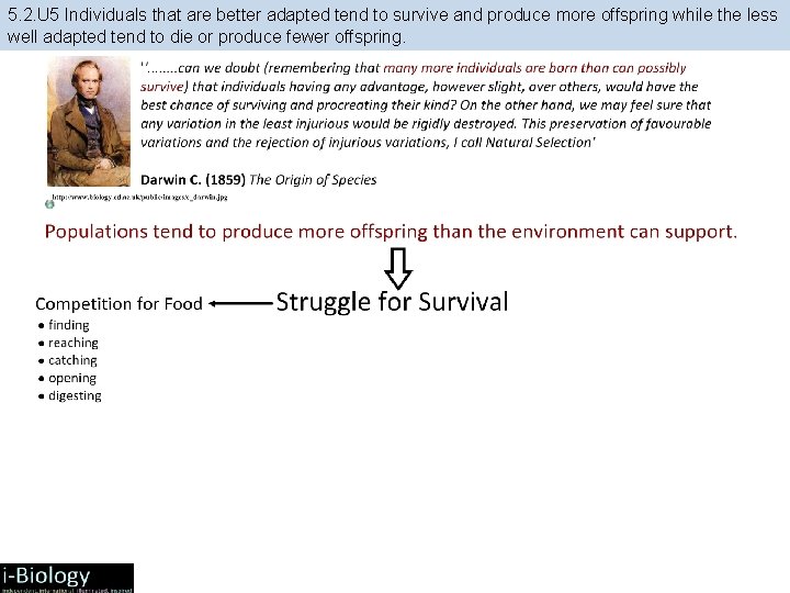 5. 2. U 5 Individuals that are better adapted tend to survive and produce