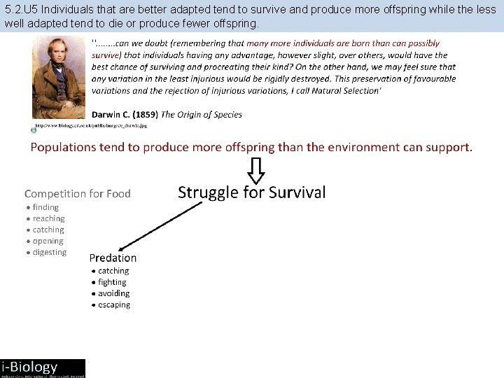 5. 2. U 5 Individuals that are better adapted tend to survive and produce