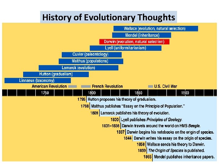 History of Evolutionary Thoughts 