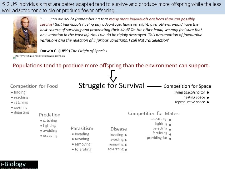 5. 2. U 5 Individuals that are better adapted tend to survive and produce