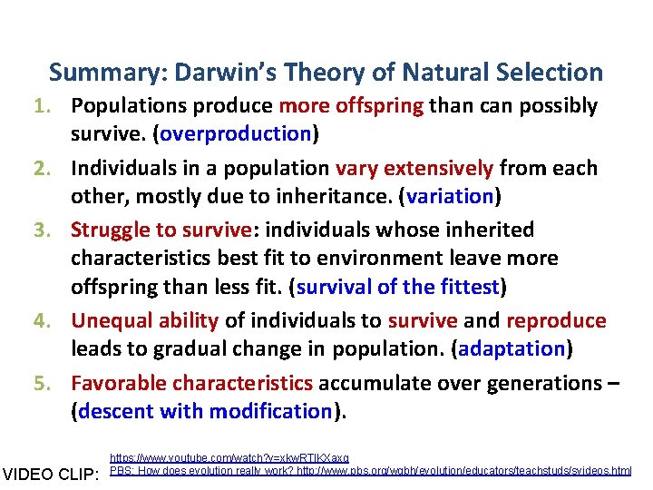 Summary: Darwin’s Theory of Natural Selection 1. Populations produce more offspring than can possibly
