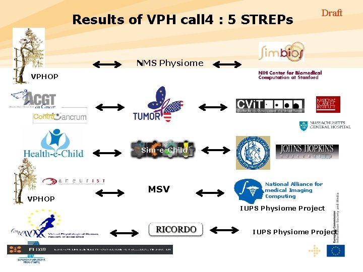 Results of VPH call 4 : 5 STREPs Draft NMS Physiome VPHOP Sim-e-Child VPHOP