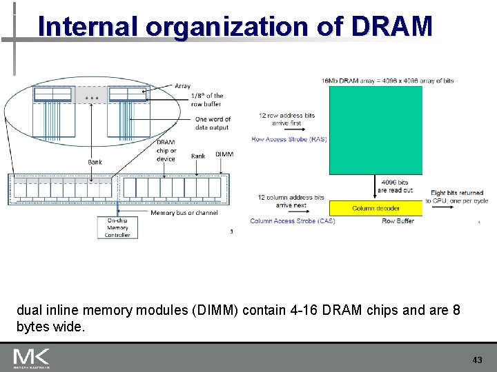 Internal organization of DRAM dual inline memory modules (DIMM) contain 4 -16 DRAM chips