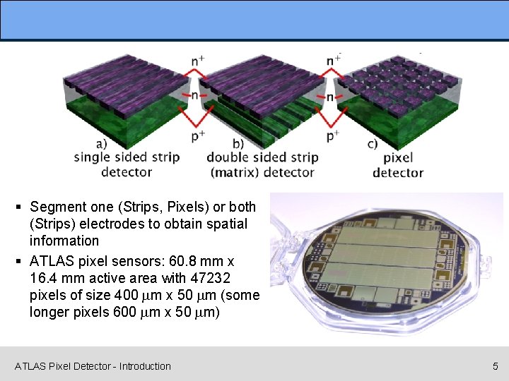 § Segment one (Strips, Pixels) or both (Strips) electrodes to obtain spatial information §