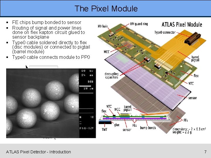 The Pixel Module § FE chips bump bonded to sensor § Routing of signal