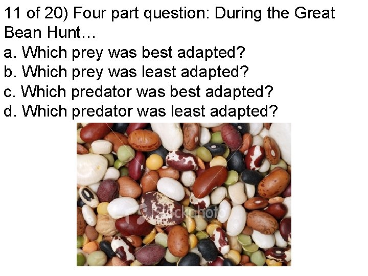 11 of 20) Four part question: During the Great Bean Hunt… a. Which prey