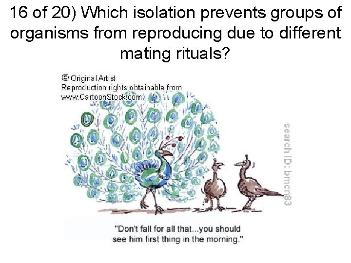 16 of 20) Which isolation prevents groups of organisms from reproducing due to different