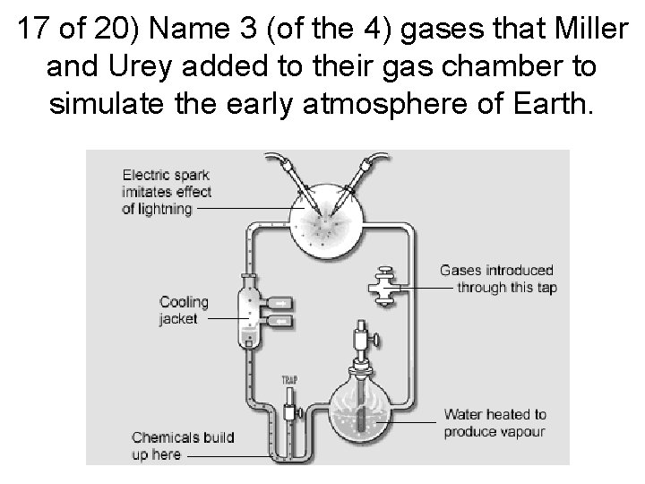17 of 20) Name 3 (of the 4) gases that Miller and Urey added