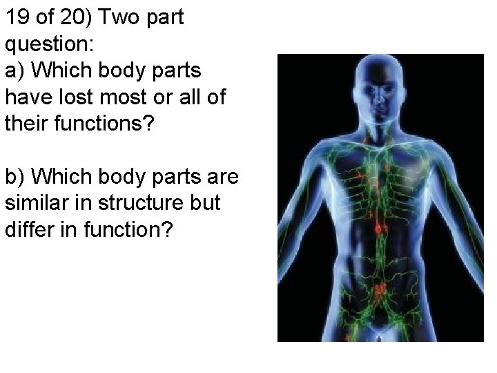 19 of 20) Two part question: a) Which body parts have lost most or