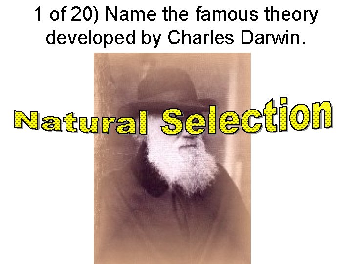 1 of 20) Name the famous theory developed by Charles Darwin. 