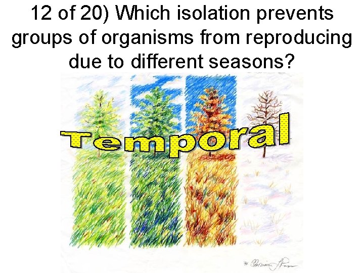 12 of 20) Which isolation prevents groups of organisms from reproducing due to different