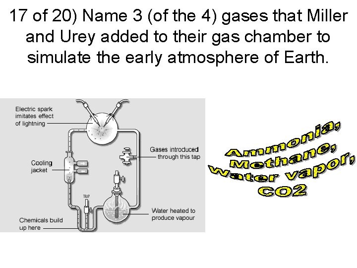 17 of 20) Name 3 (of the 4) gases that Miller and Urey added