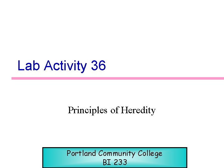 Lab Activity 36 Principles of Heredity Portland Community College BI 233 