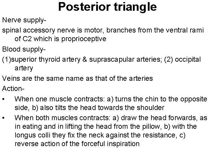 Posterior triangle Nerve supplyspinal accessory nerve is motor, branches from the ventral rami of