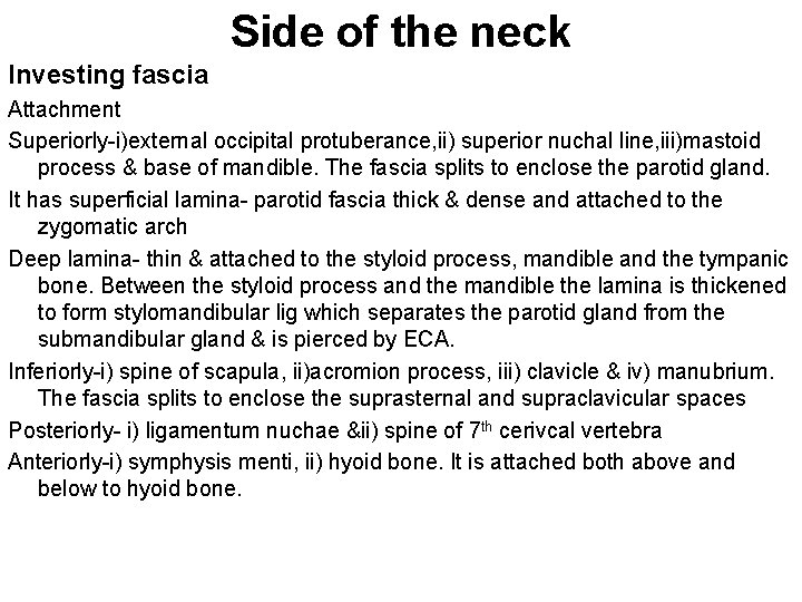 Side of the neck Investing fascia Attachment Superiorly-i)external occipital protuberance, ii) superior nuchal line,