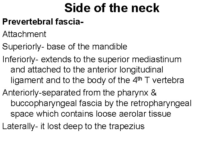 Side of the neck Prevertebral fascia. Attachment Superiorly- base of the mandible Inferiorly- extends