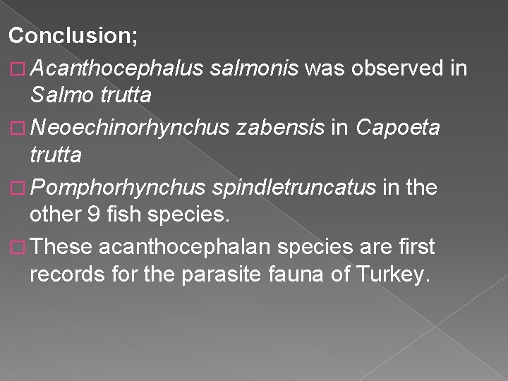 Conclusion; � Acanthocephalus salmonis was observed in Salmo trutta � Neoechinorhynchus zabensis in Capoeta