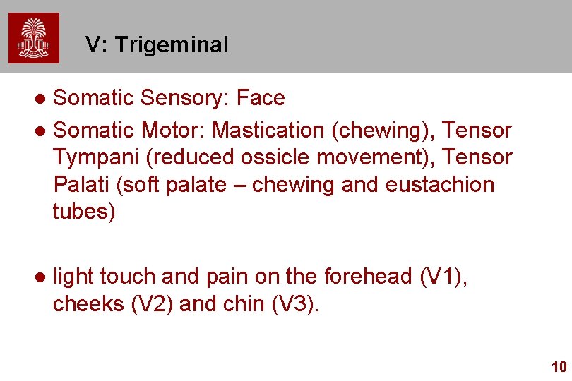 V: Trigeminal Somatic Sensory: Face l Somatic Motor: Mastication (chewing), Tensor Tympani (reduced ossicle