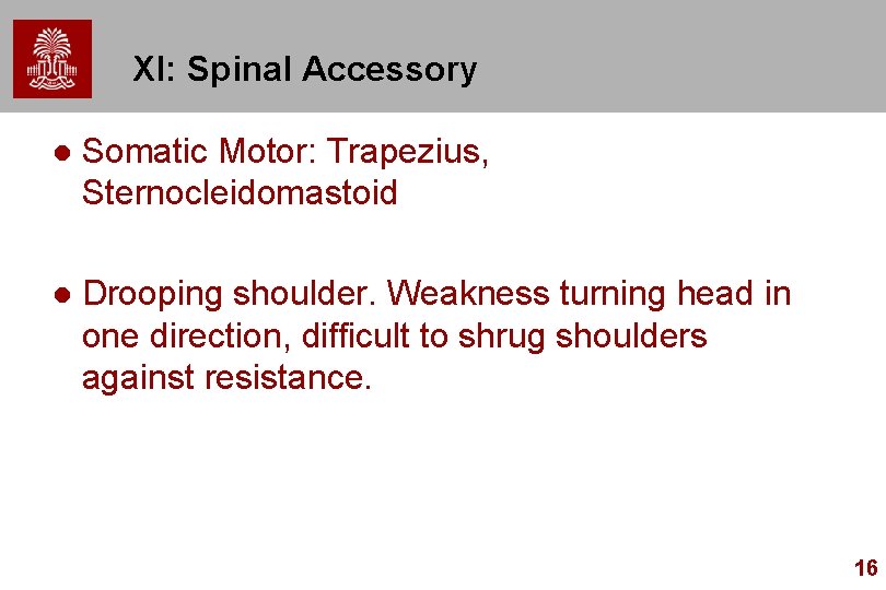 XI: Spinal Accessory l Somatic Motor: Trapezius, Sternocleidomastoid l Drooping shoulder. Weakness turning head