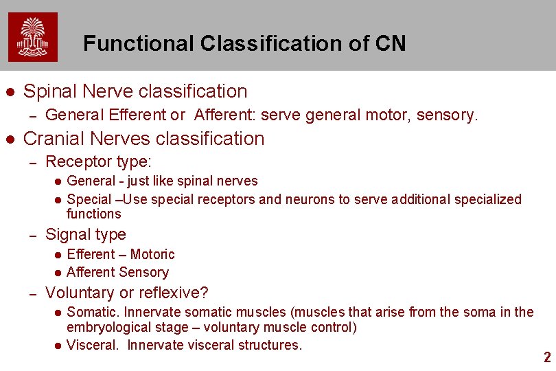 Functional Classification of CN l Spinal Nerve classification – l General Efferent or Afferent: