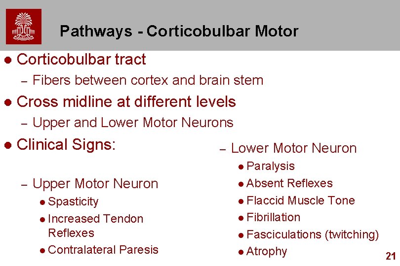 Pathways - Corticobulbar Motor l Corticobulbar tract – l Cross midline at different levels