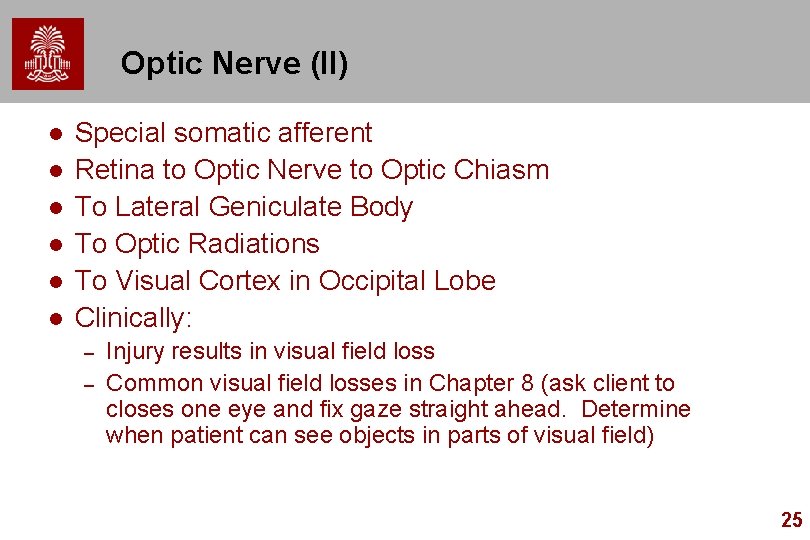 Optic Nerve (II) l l l Special somatic afferent Retina to Optic Nerve to