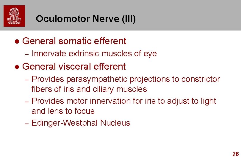 Oculomotor Nerve (III) l General somatic efferent – l Innervate extrinsic muscles of eye