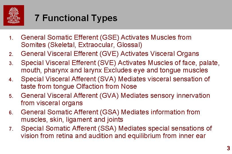 7 Functional Types 1. 2. 3. 4. 5. 6. 7. General Somatic Efferent (GSE)
