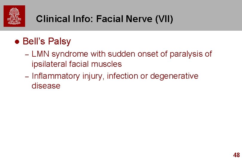 Clinical Info: Facial Nerve (VII) l Bell’s Palsy – – LMN syndrome with sudden