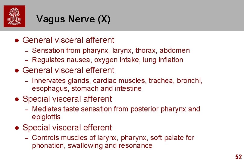 Vagus Nerve (X) l General visceral afferent – – l General visceral efferent –