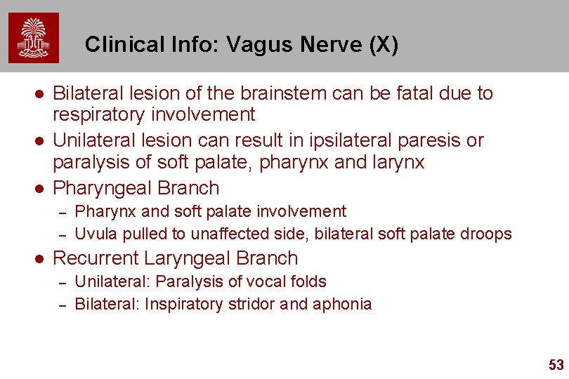 Clinical Info: Vagus Nerve (X) l l l Bilateral lesion of the brainstem can